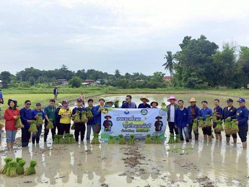 "พช.ศรีธาตุ ร่วมกิจกรรมลงแขกดำนา ตุ้มโฮมสามัคคี อำเภอศรีธาตุ ประจำปี 2569"